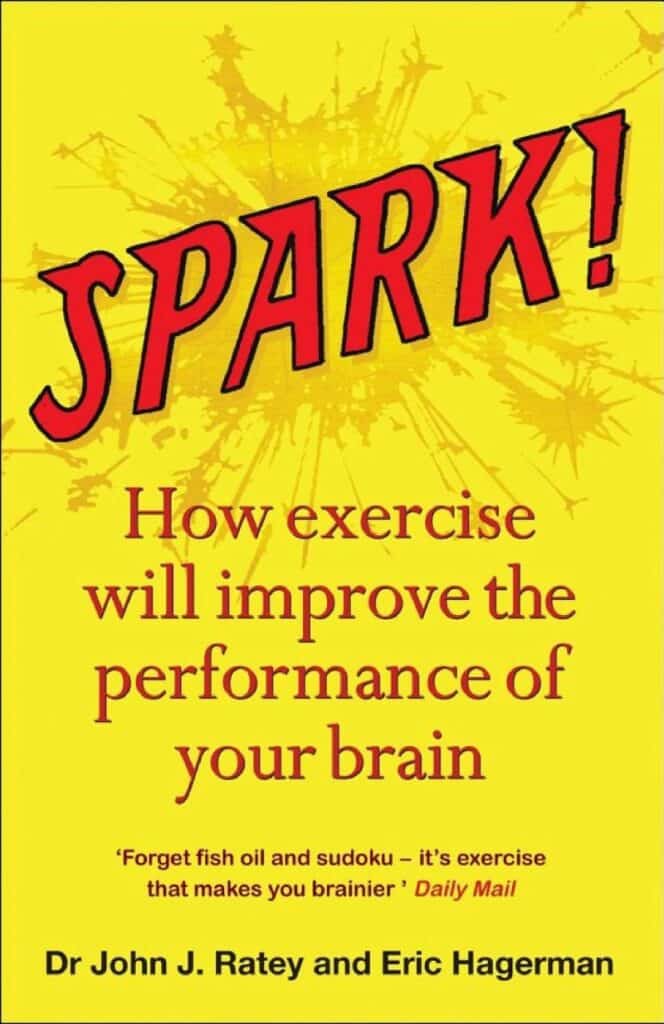Spark: Summary, Key Ideas & Insights