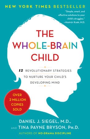 The Whole-Brain Child: Summary, Key Ideas & Insights